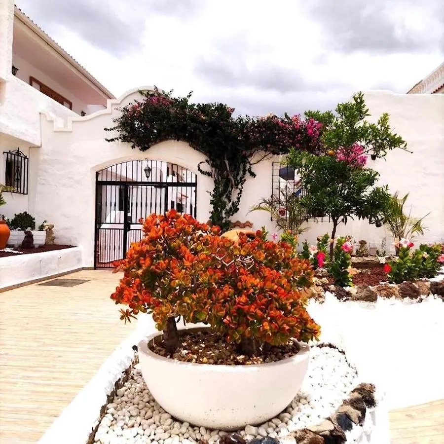91 Port Royale Los Cristianos Los Cristianos  Spagna